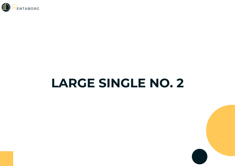 Large Single 2
