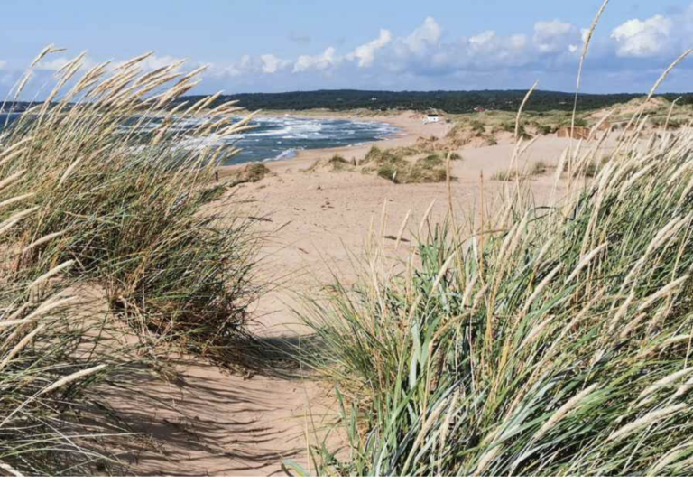 56aaa81931a0a7da5f4feeb06b23b29fbbf3662dddf2605e883f67f199b4b113