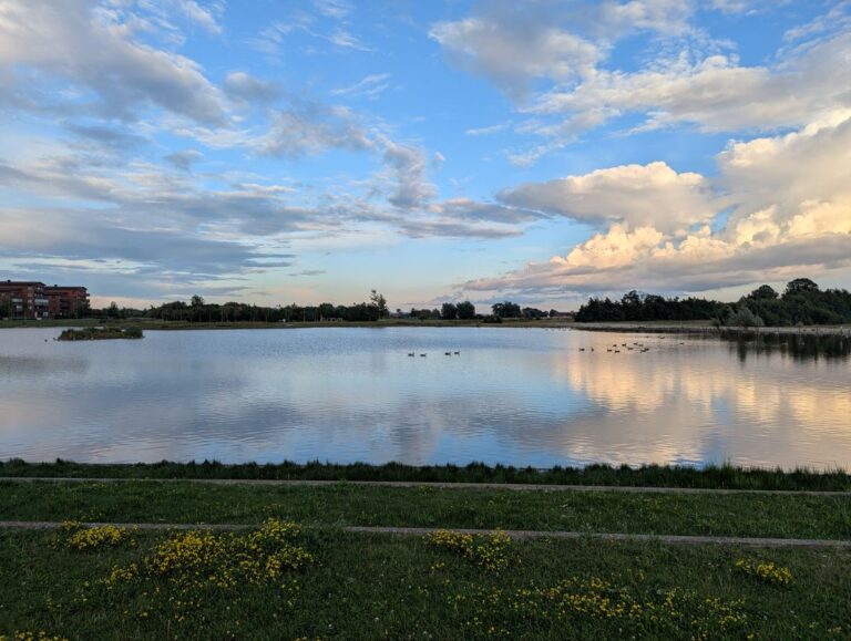 f9838c2baf626a682abe41b349f29e4151fe4684fe2c263bcfbca633aa2ccc7b