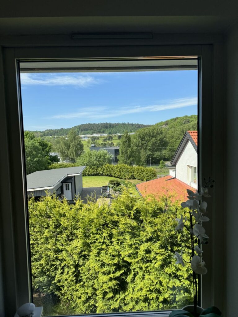 117e73f84bba06ef143a5115d90ee1abfb0ab827ae66a66f11d2b2cf061d59de